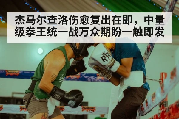 杰马尔查洛伤愈复出在即，中量级拳王统一战万众期盼一触即发