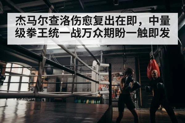 boxer training